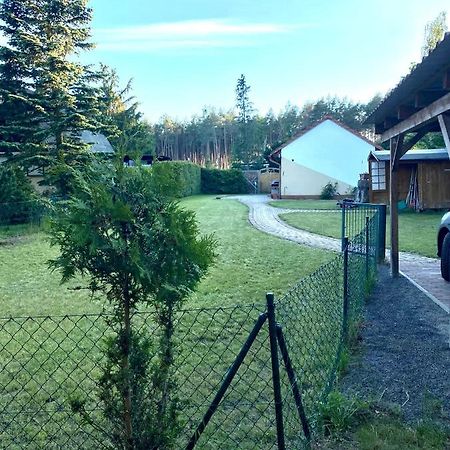 Ferienhaus Am Netzener See เลห์นิน ภายนอก รูปภาพ